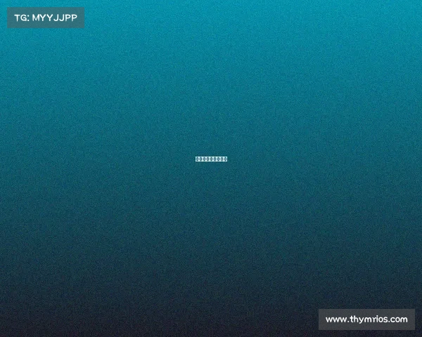 铜标认证,荣耀征程 铜标认证,荣耀征程