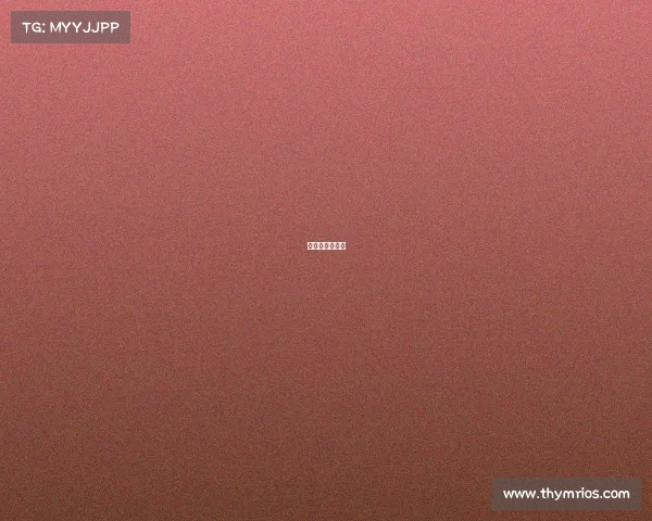 马拉松赛事盈利