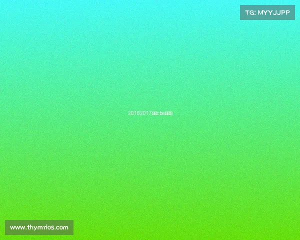 20162017赛季cba总决赛