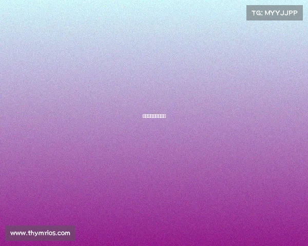 全国马拉松赛事数量