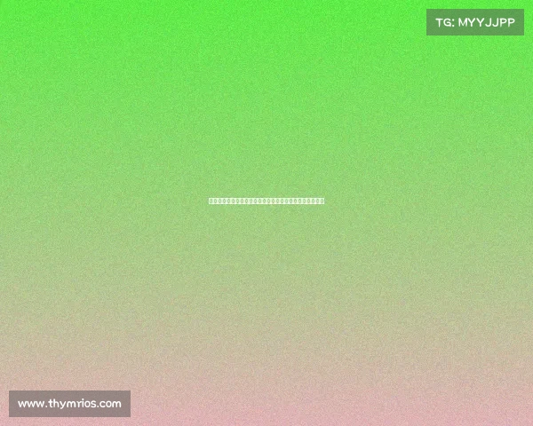 最厉害的搏击赛事全球顶尖搏击赛事终极王者之战巅峰对决