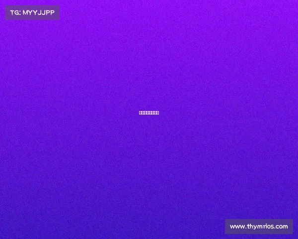 湖人热火总分预测