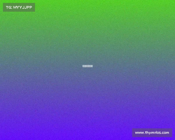 欧足联国家赛程