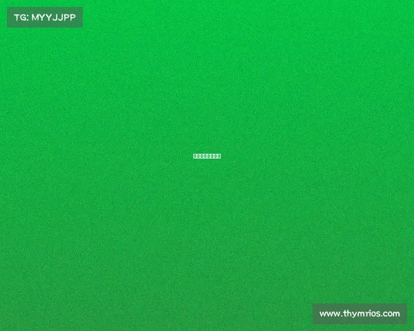 澳大利亚球队分析